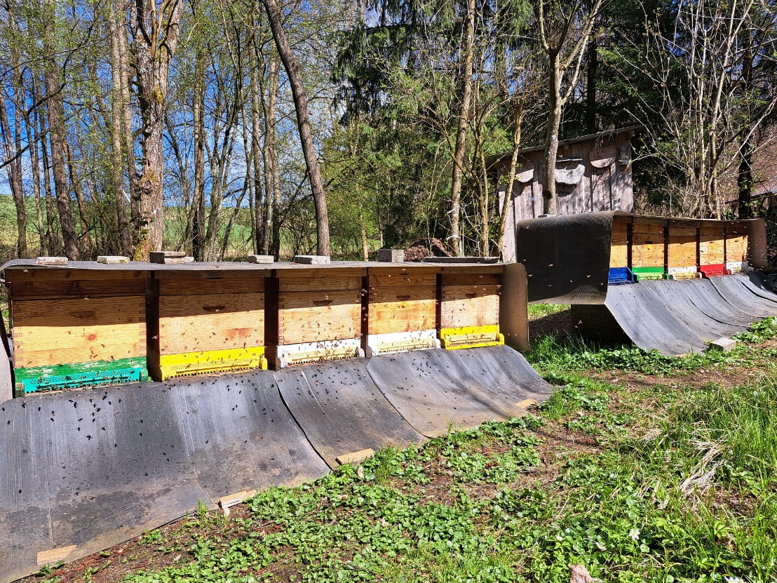 Bienenvölker Einheitsmaß